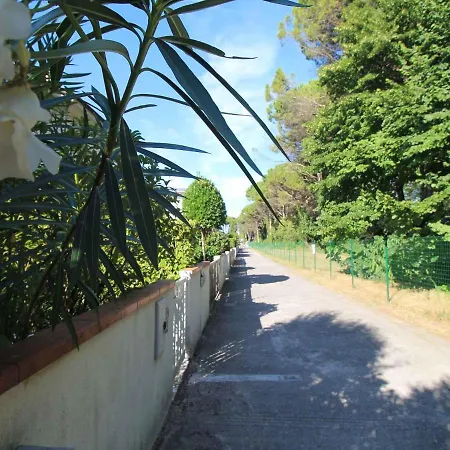 In 40811 *